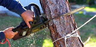 Best Arborist Consultation Services  in Islip Terrace, NY