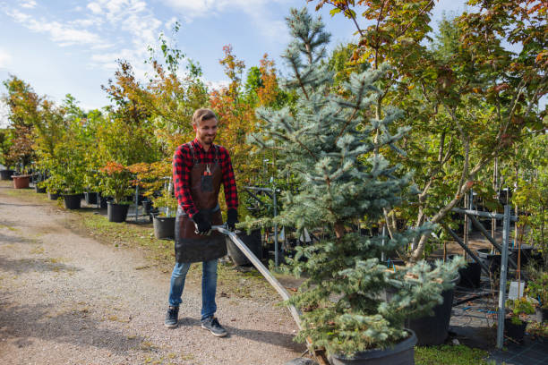 Best Fruit Tree Pruning  in Islip Terrace, NY